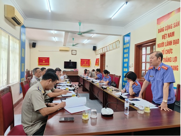 Viện kiểm sát nhân dân tỉnh trực tiếp kiểm sát tại Cục thi hành án dân sự tỉnh